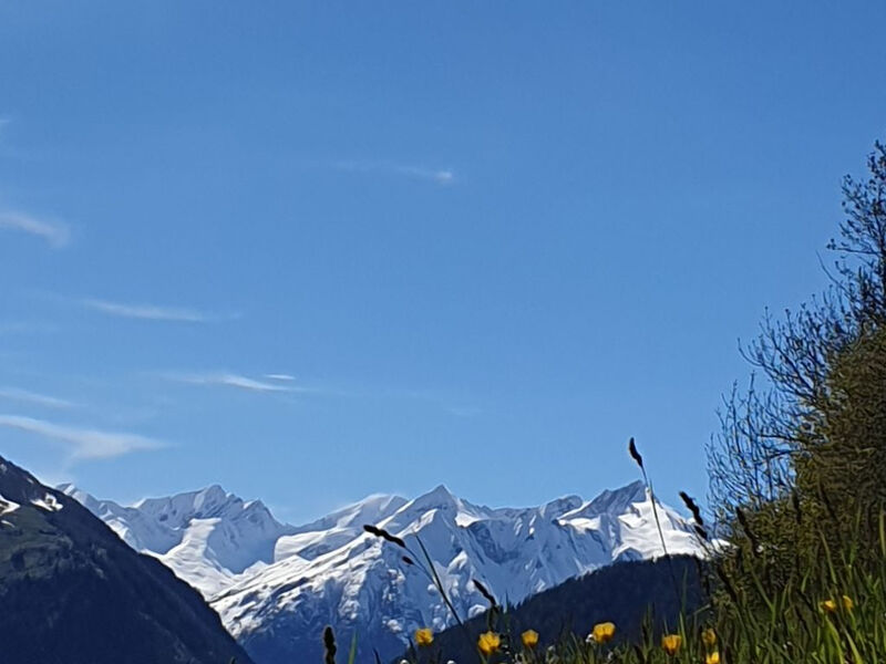 Zedlacherhof
