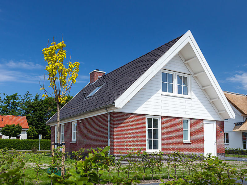 De Witte Raaf