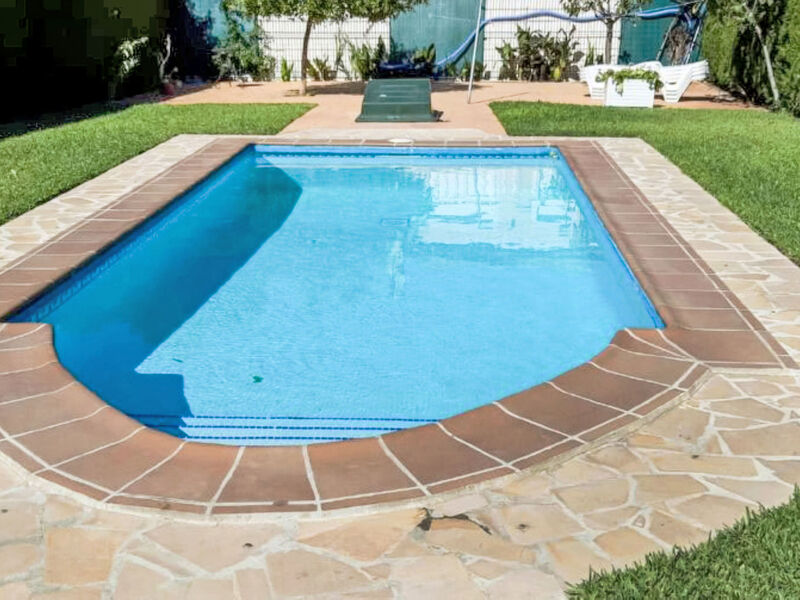 Palmera III