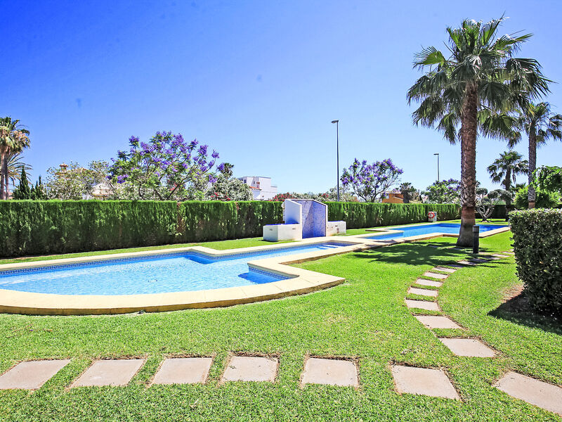 Alma Del Sol