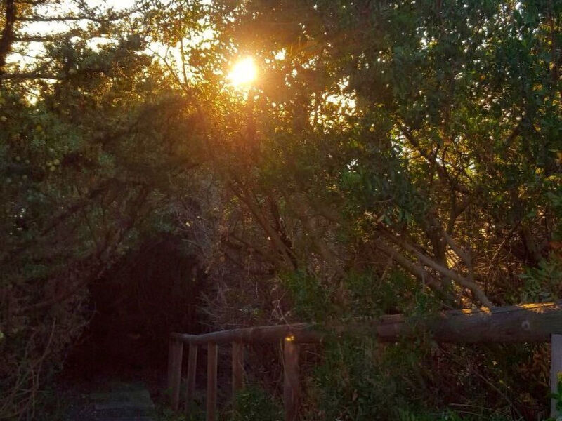 Casa Roche