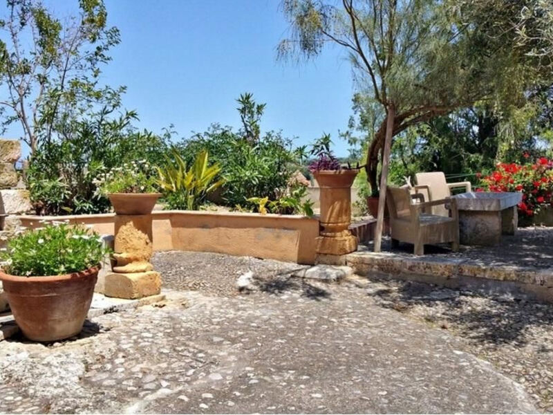 Mallorca Muro