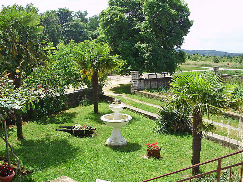 Maruzini