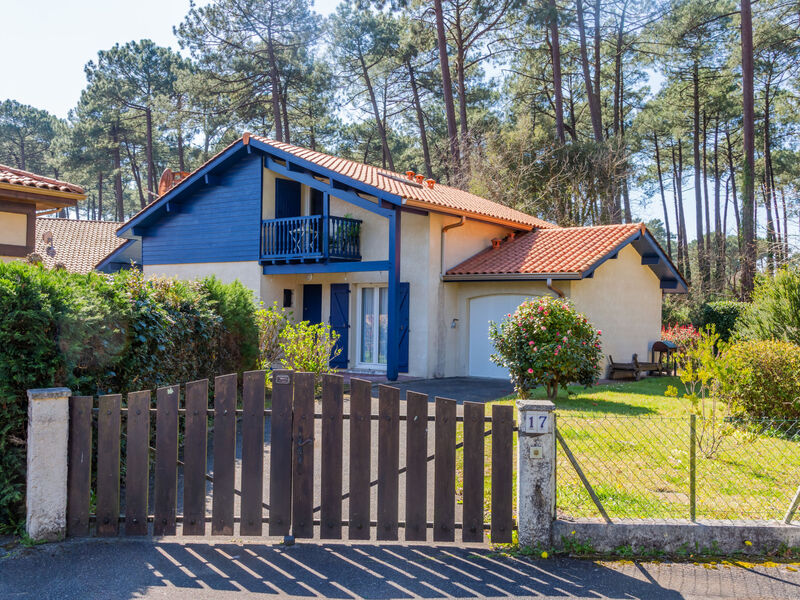 Bosquet des Ecureuils 17
