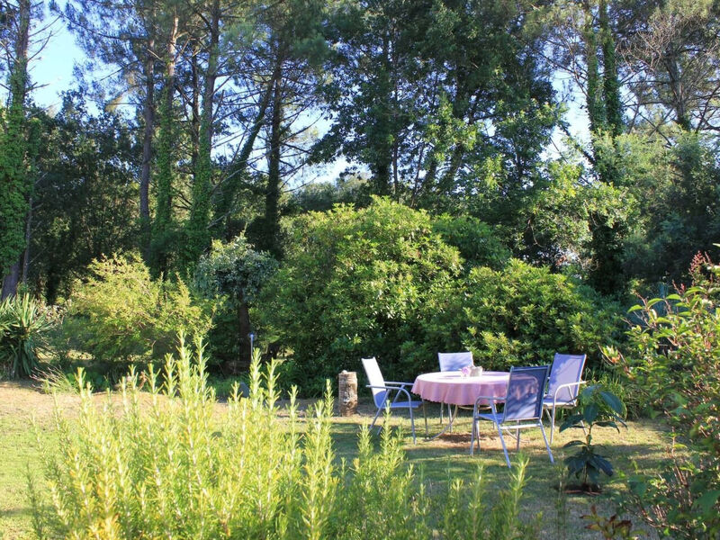 La Belle Vie