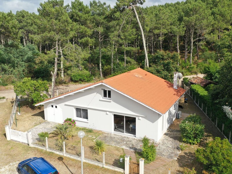 Renoviertes Haus am Rande des Landes-Waldes