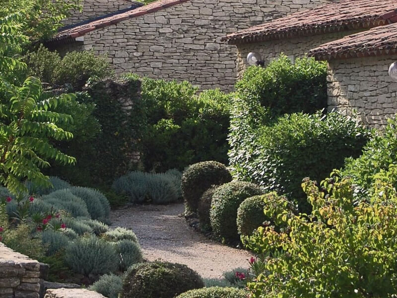 Cypres du Paradis