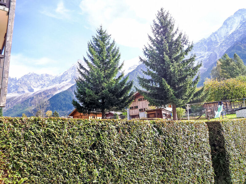 Les Chamois