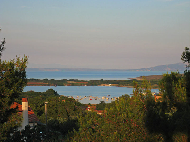 Nicovich
