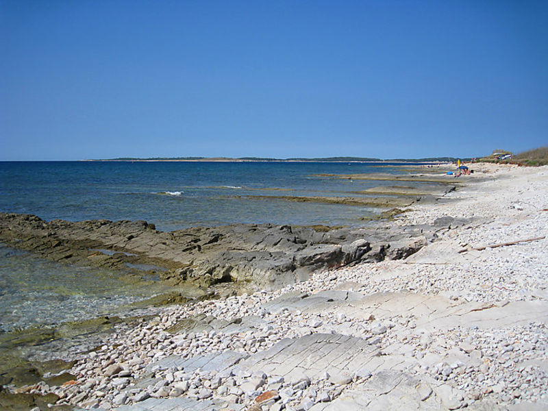 Nicovich
