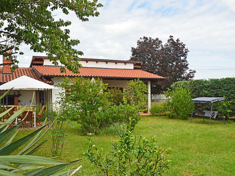 Pavićini
