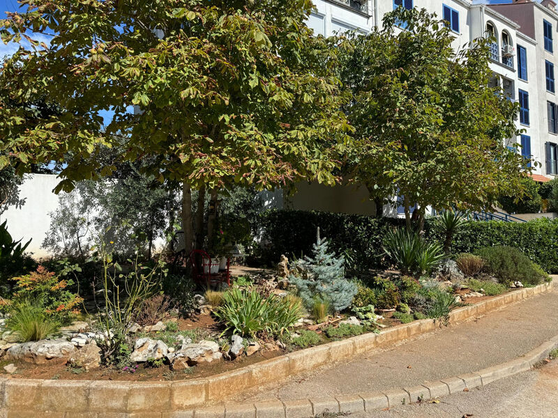 Gemütliches Studio-Apartment
