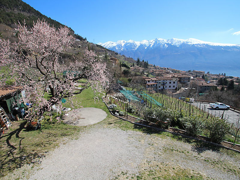 Casa Carlo