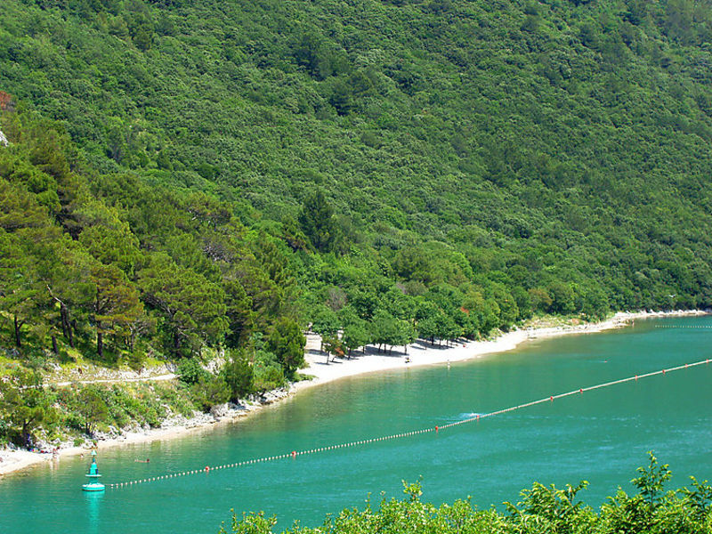 Vozilići