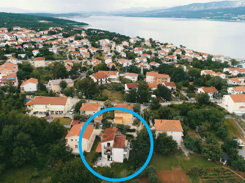 Svoboda 4