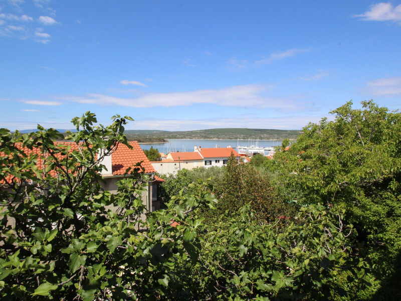 Wohnung 