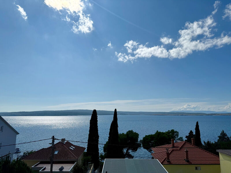 Ruža 3