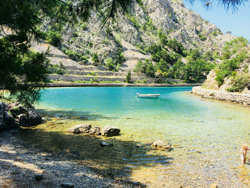 Nikica