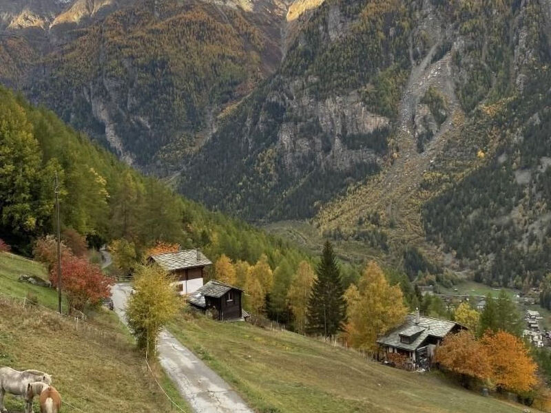 Chalet Spycher