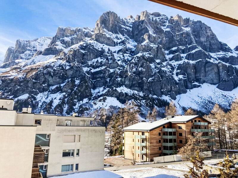 Marmotta 19