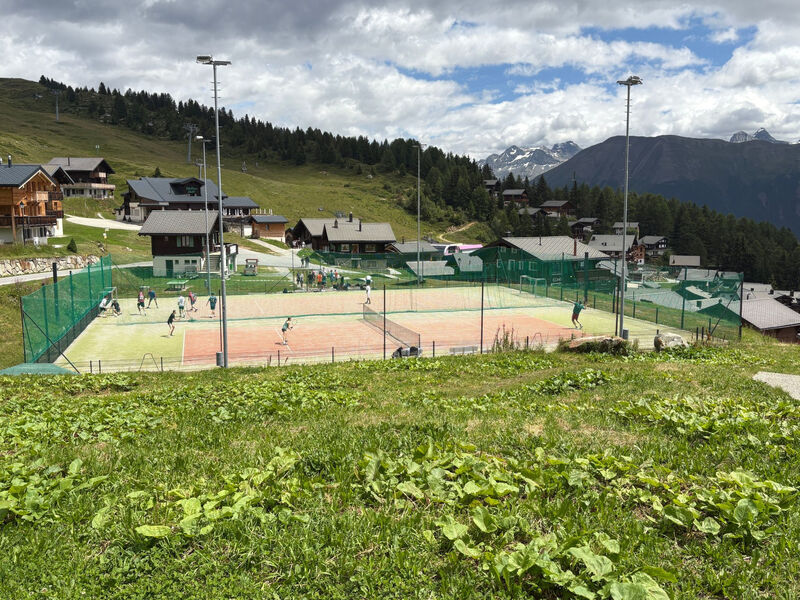 Chalet Sternschnuppe