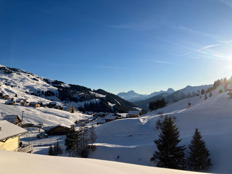 Chalet Martens