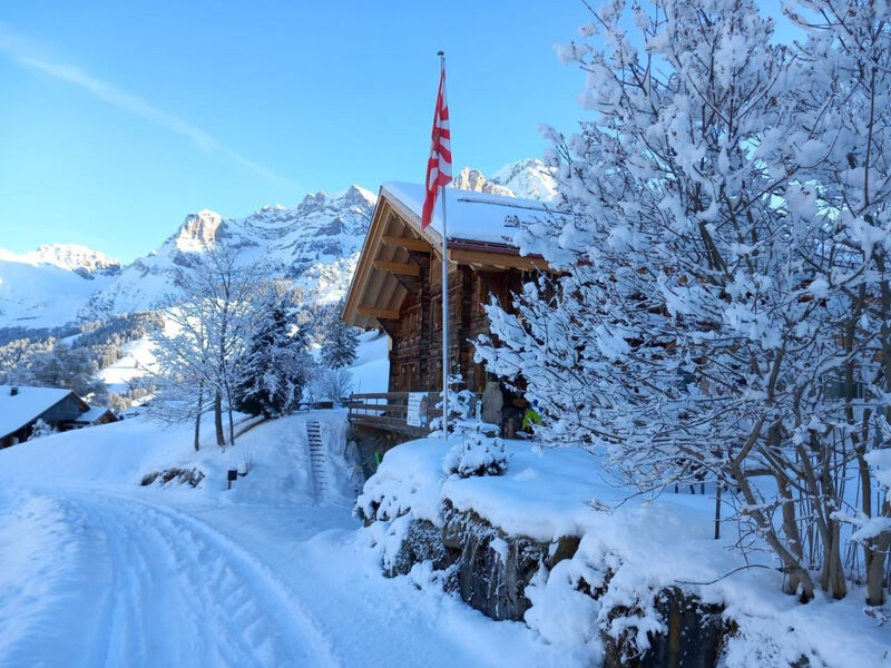 Alpen Vista
