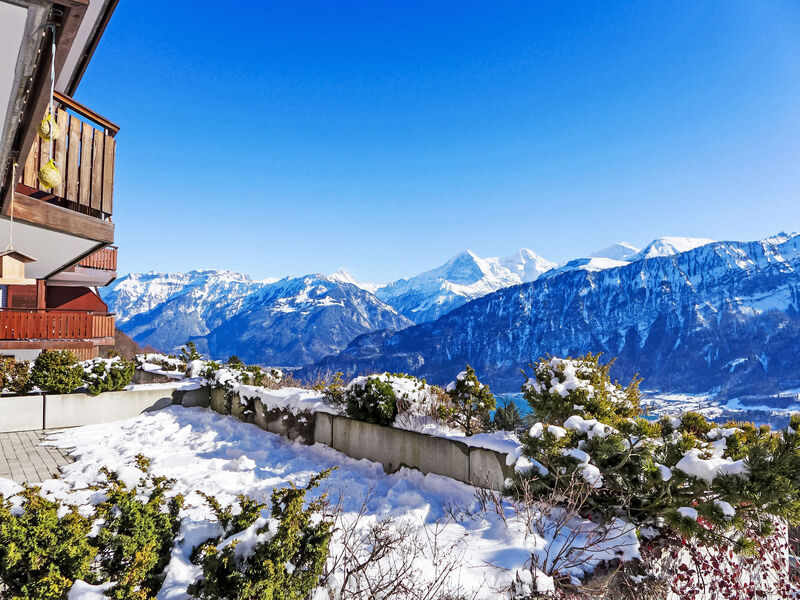 Berg-Seeblick