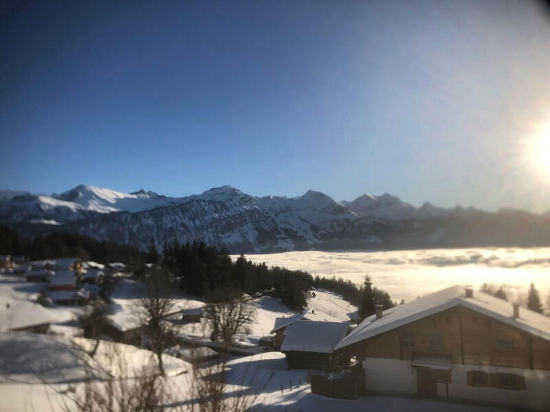 Chalet Friedheim