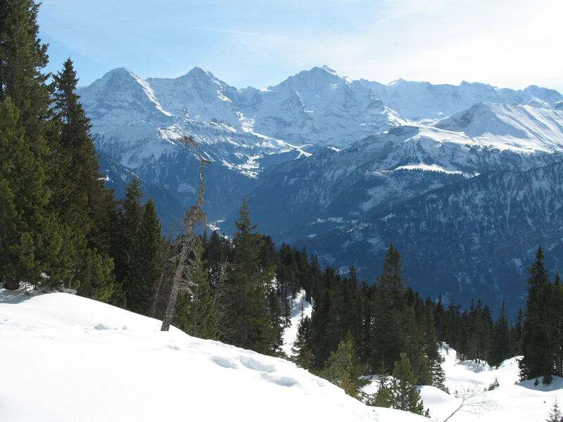 Berg- und Seeblick