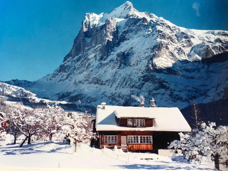 gemütliches SINGLE-Studio