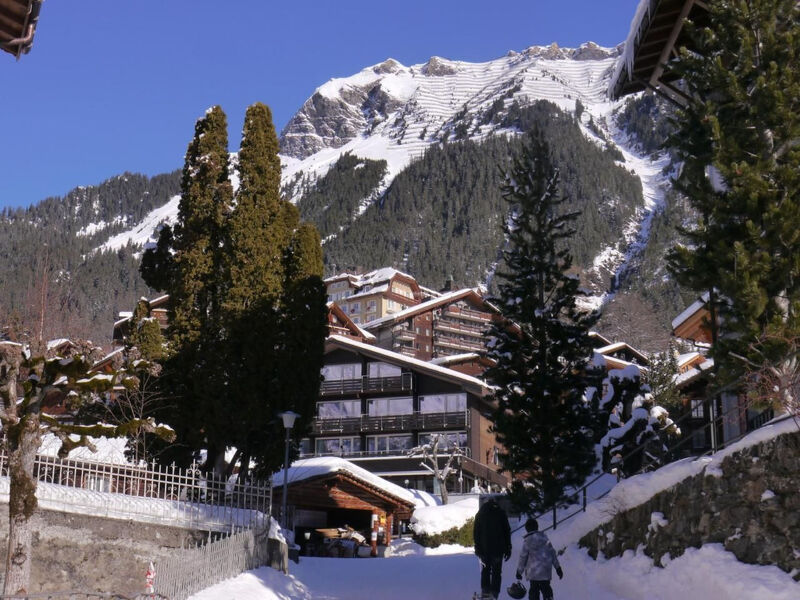 Chalet Birkli