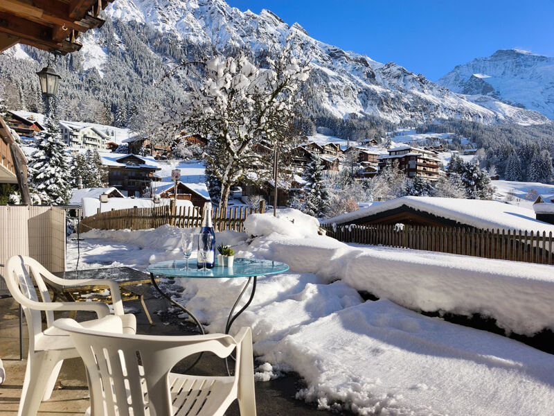 Chalet Graf Apt 1