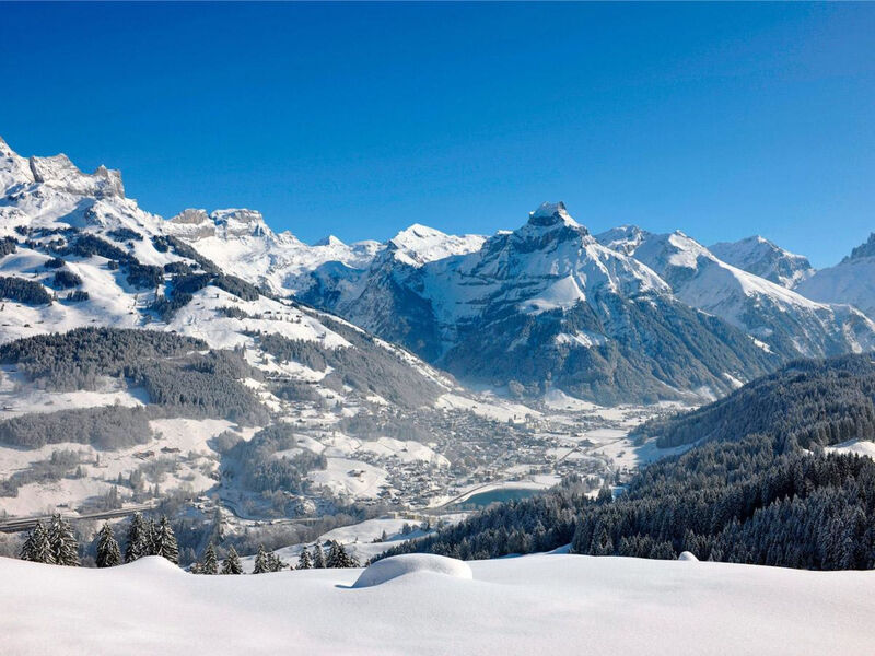 Vila Alpenblick Wolfenschiessen