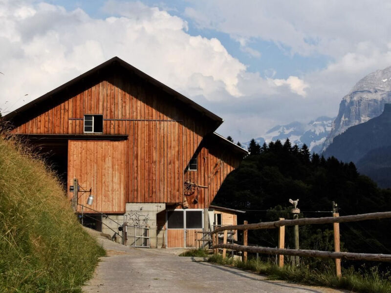 Berg-Traum Engelberg