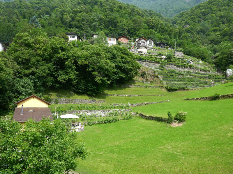 La Monda