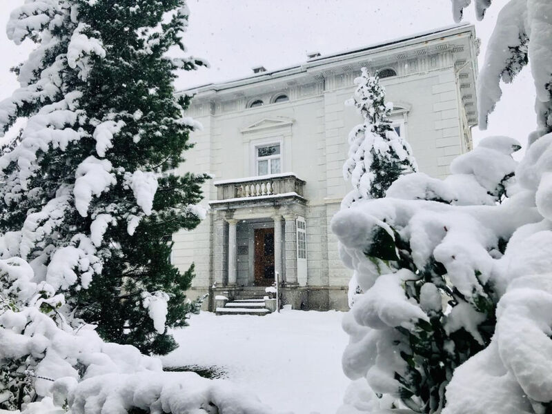 Vila Fried, Natüra