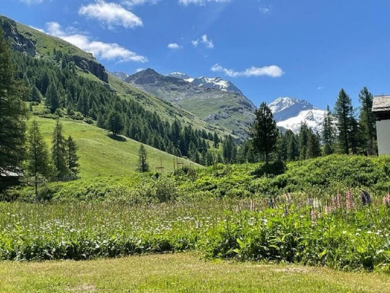Historisches Haus im Fextal - Sils