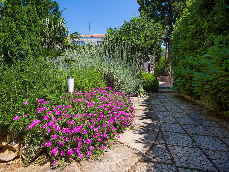 Patrizia Classic