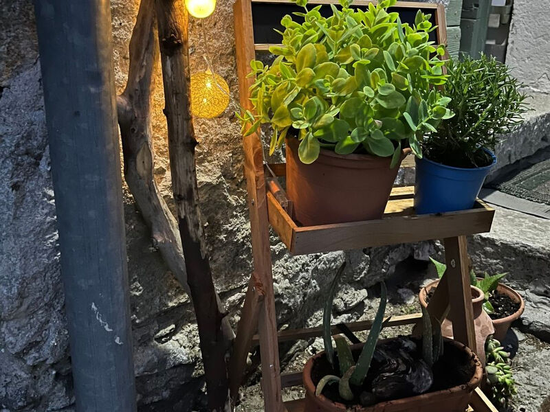 Vakantieappartement 'Willkommen am See'