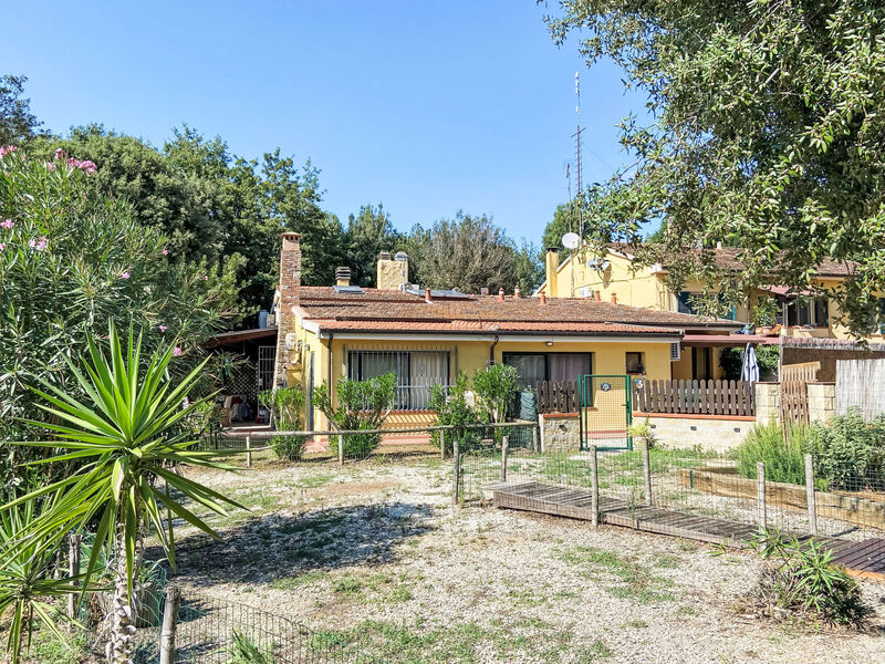 Mattarello
