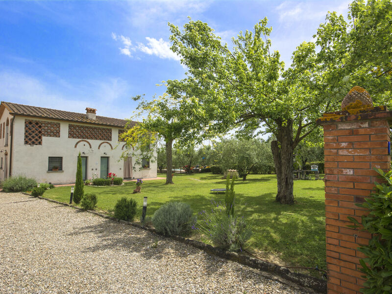 Oliveto