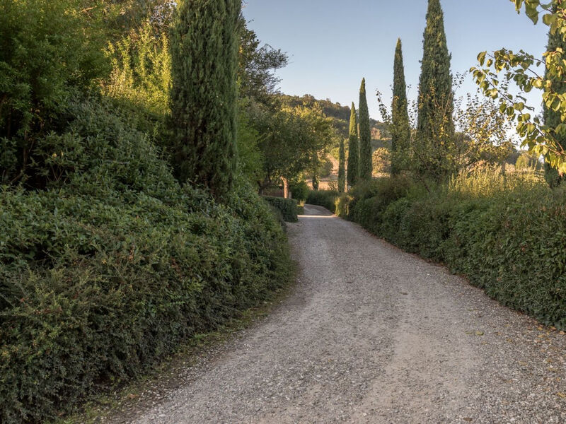 Wohnung Colle di Val d'Elsa