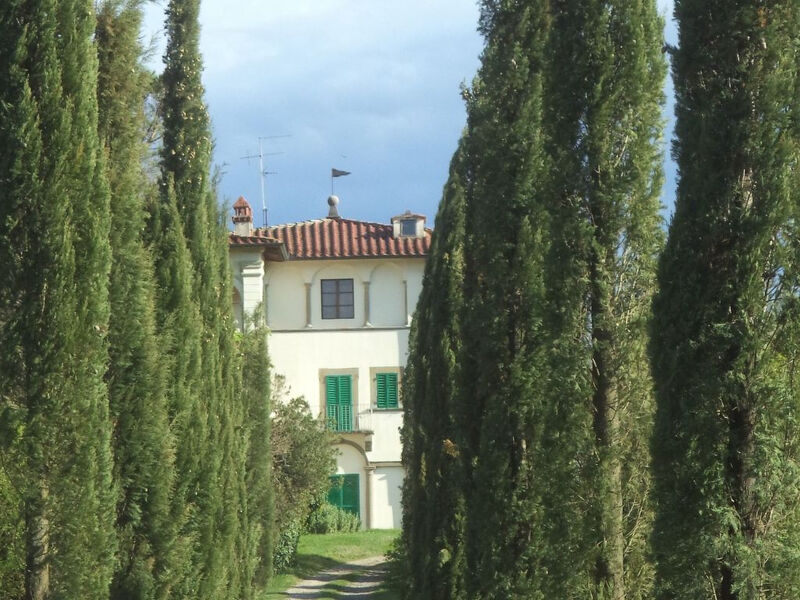 Grünes Haus