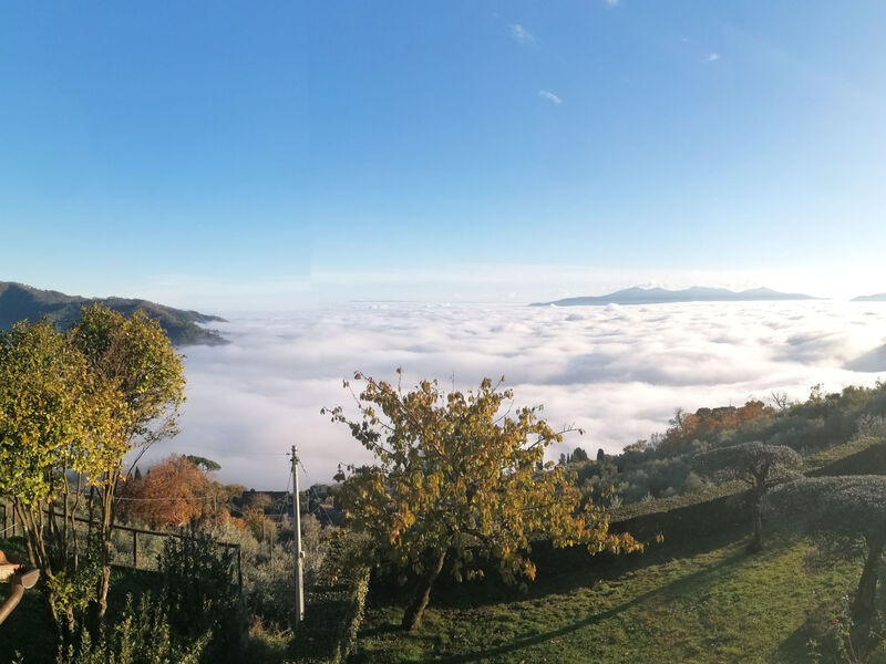 Casale Colle Belvedere