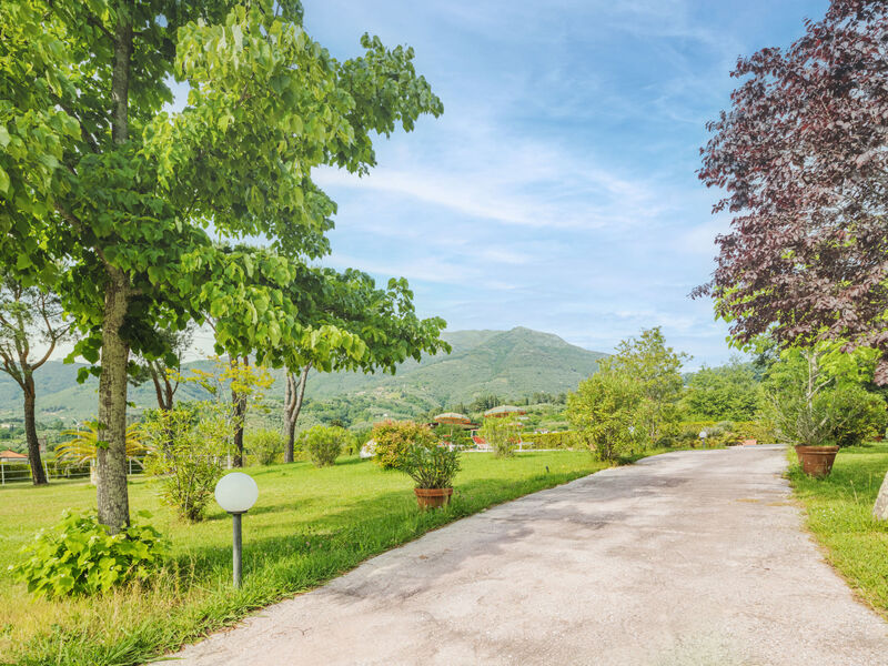 Casa Verde Versilia