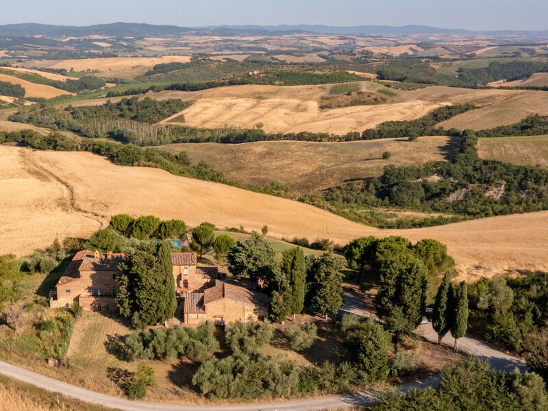 Torrenieri