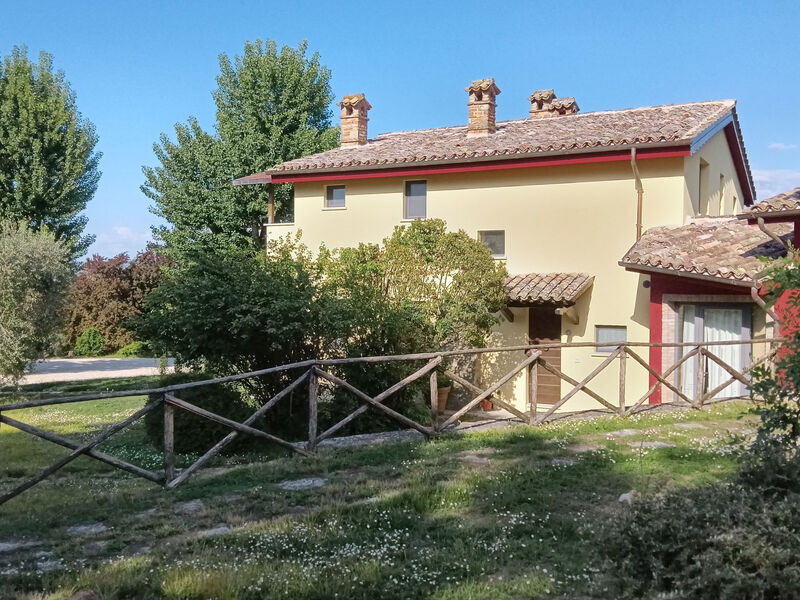 La Torriola Spighe