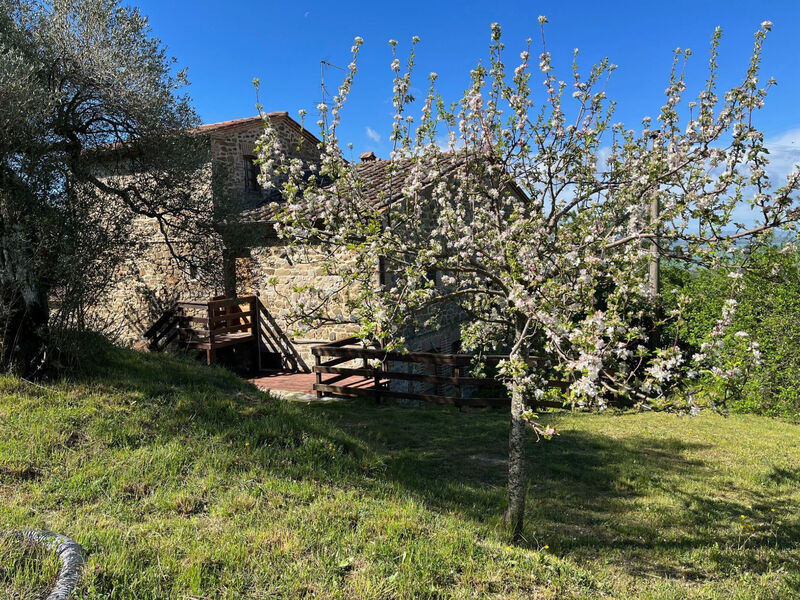 Renovierte Wohnung