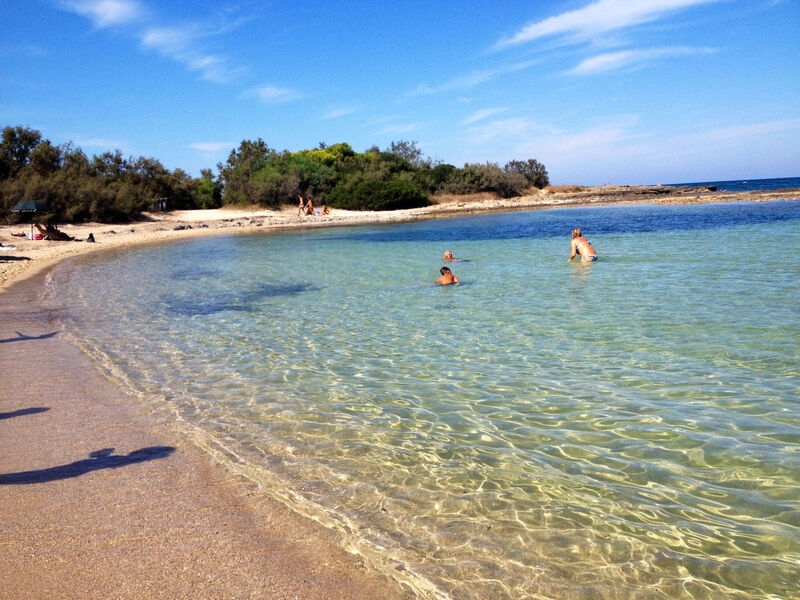 Vila Eos - piscina panoramica
